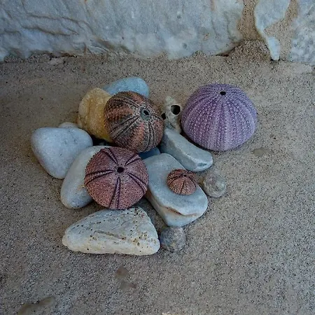 Amphitrite's House *