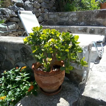 Amphitrite's House Appartement Néon Oítilon