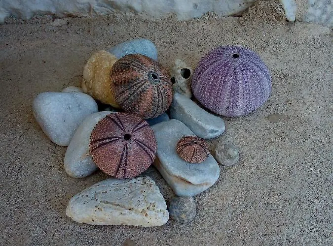 Amphitrite's House *